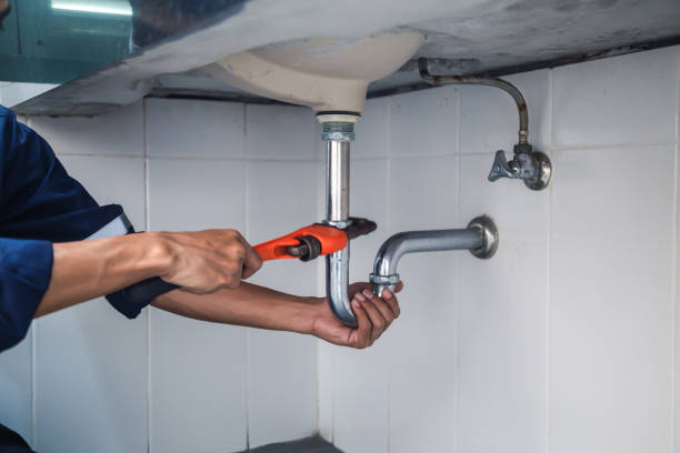 Best Plumbing Inspection Services  in Blackwater, AZ